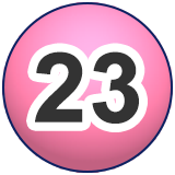 23